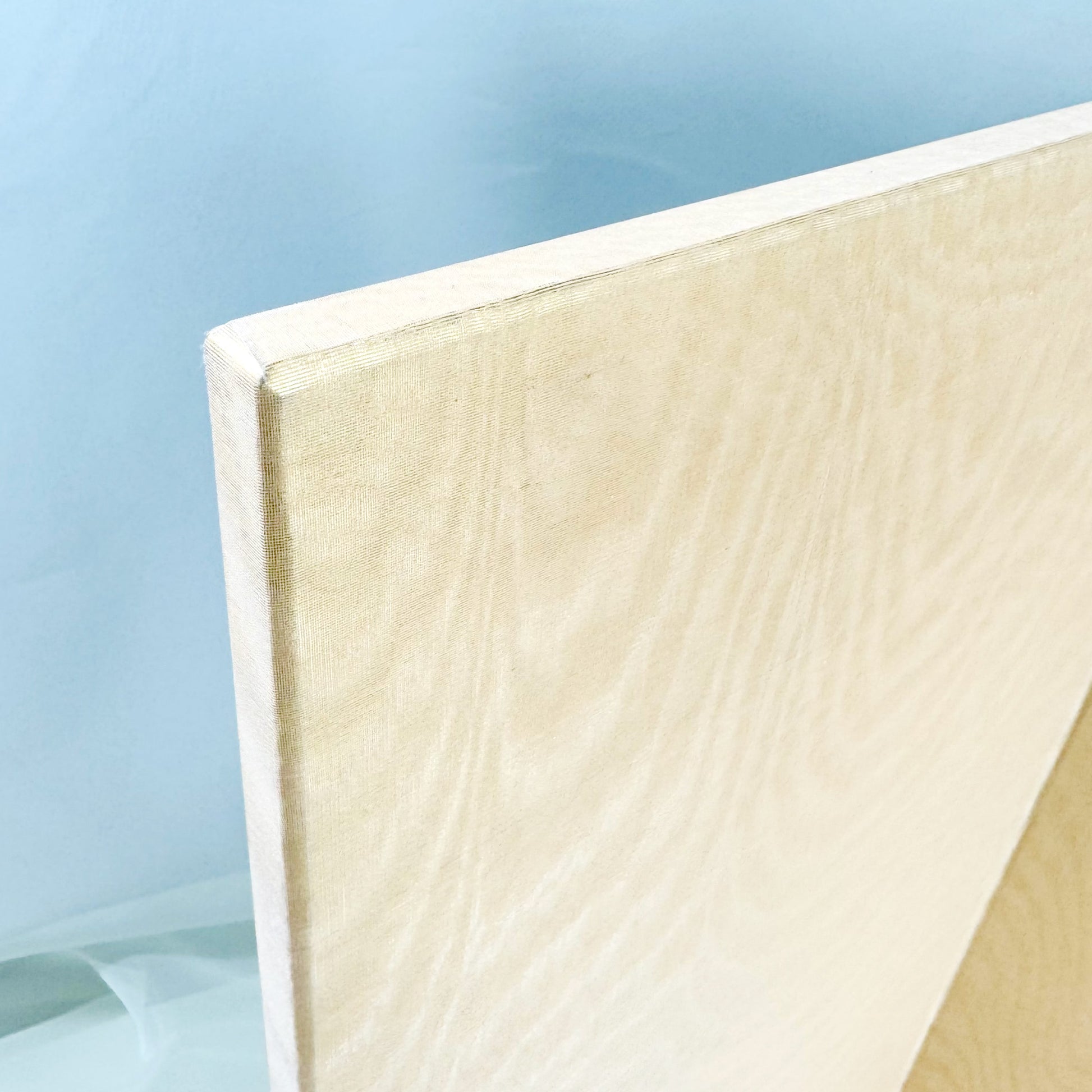 Gold-Toned Folding Screen Byobu (2-Panel) 03